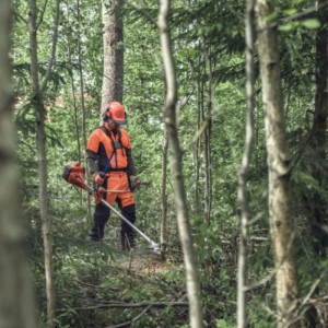 Кущоріз Husqvarna 545F