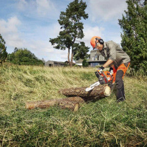 Бензопила Husqvarna 435 II