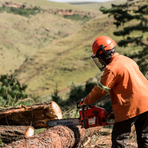 Бензопила Husqvarna 61