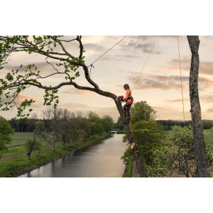 Бензопила Husqvarna T540 XP Mark III