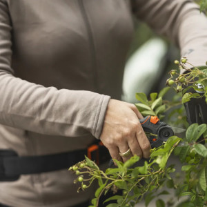 Секатор Husqvarna Medium