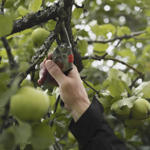 Секатор Husqvarna Large