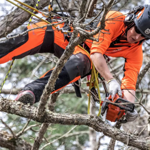 Бензопила Husqvarna T525